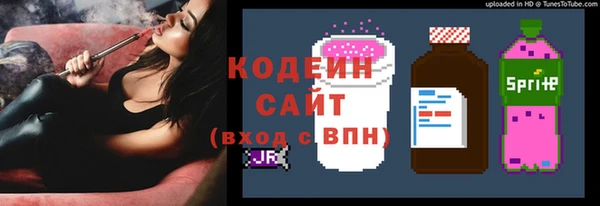 бошки Иннополис