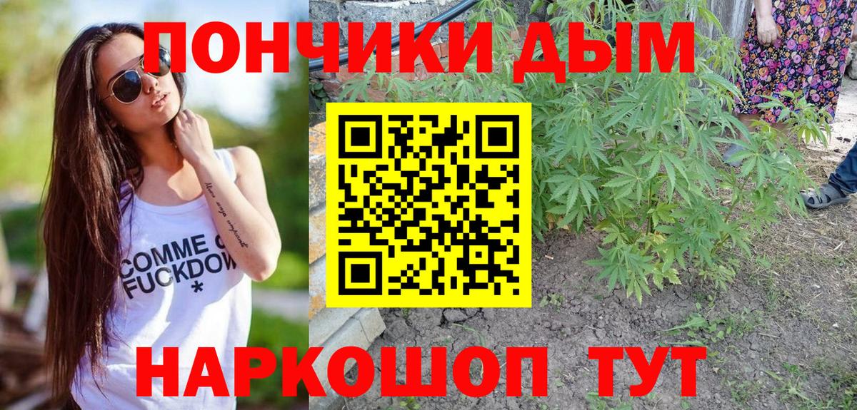 Каннабис планчик Канск